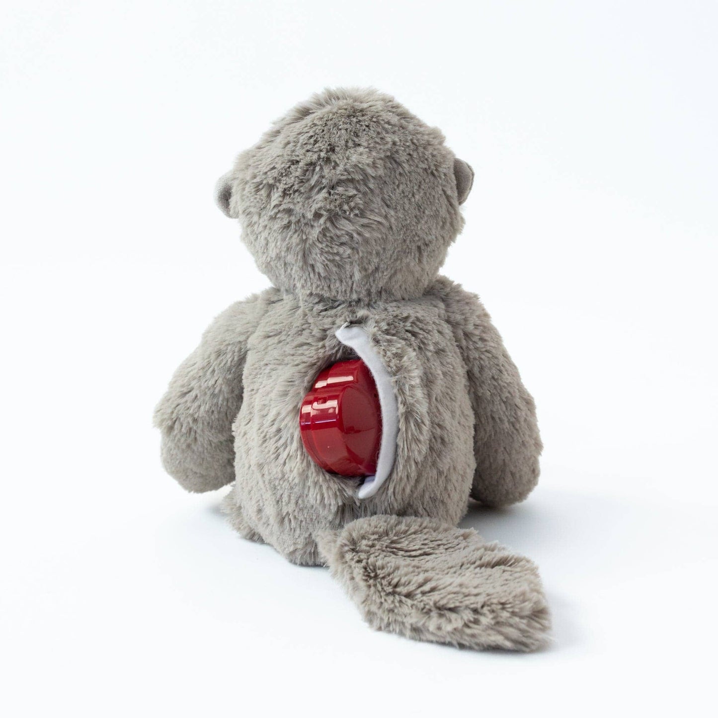 Messages from the Heart:Recordable Otter Connection 2-Books