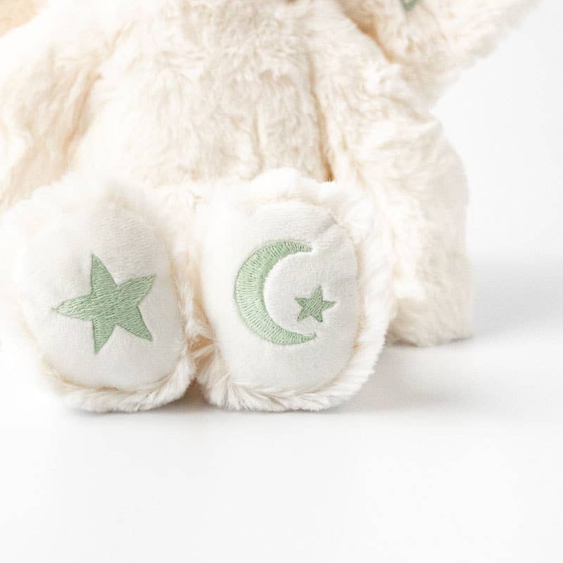 Sprite's Grief & Loss Plush Set - with 2 Books