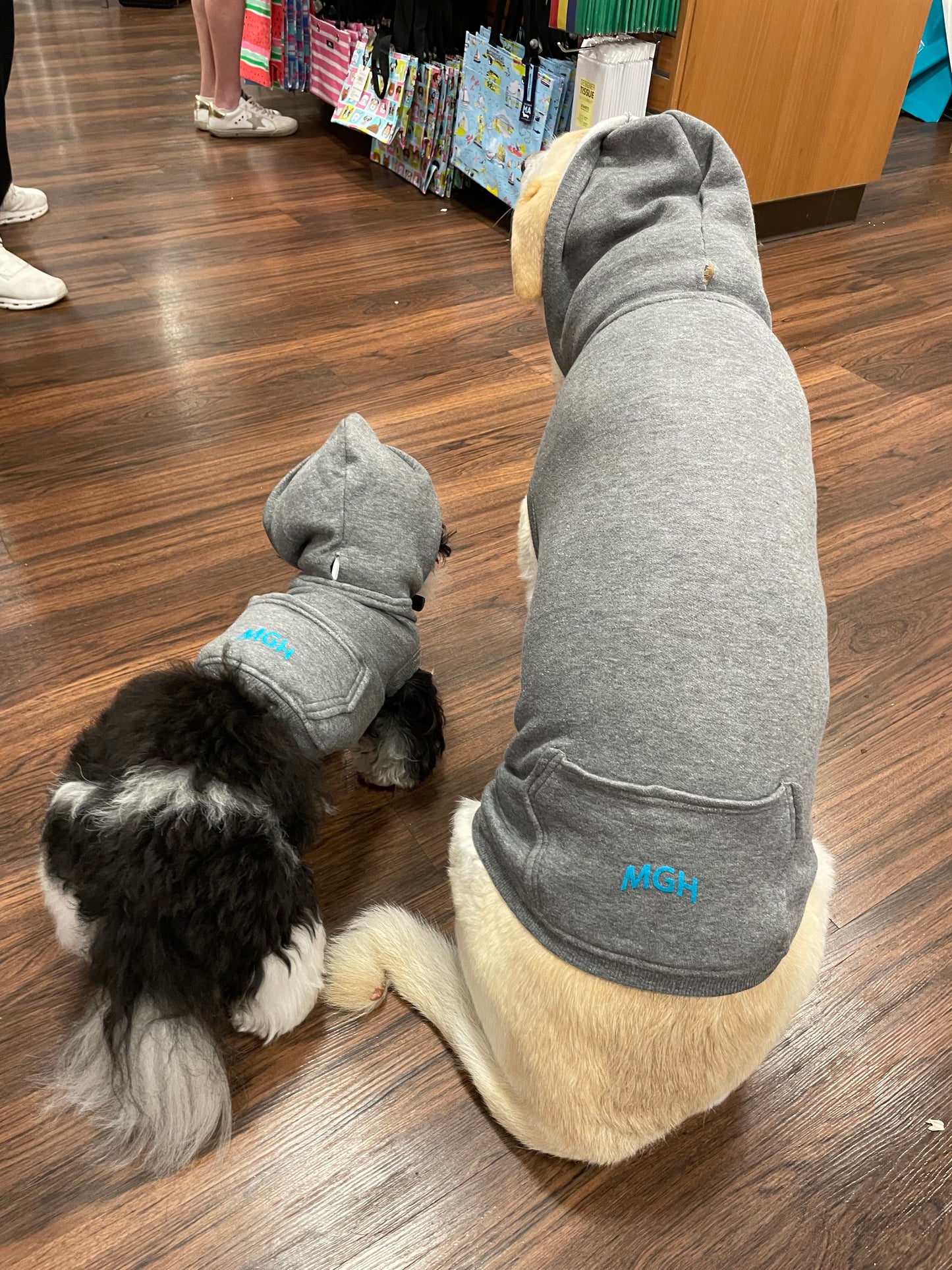 Arched MGH Dog Hoodie
