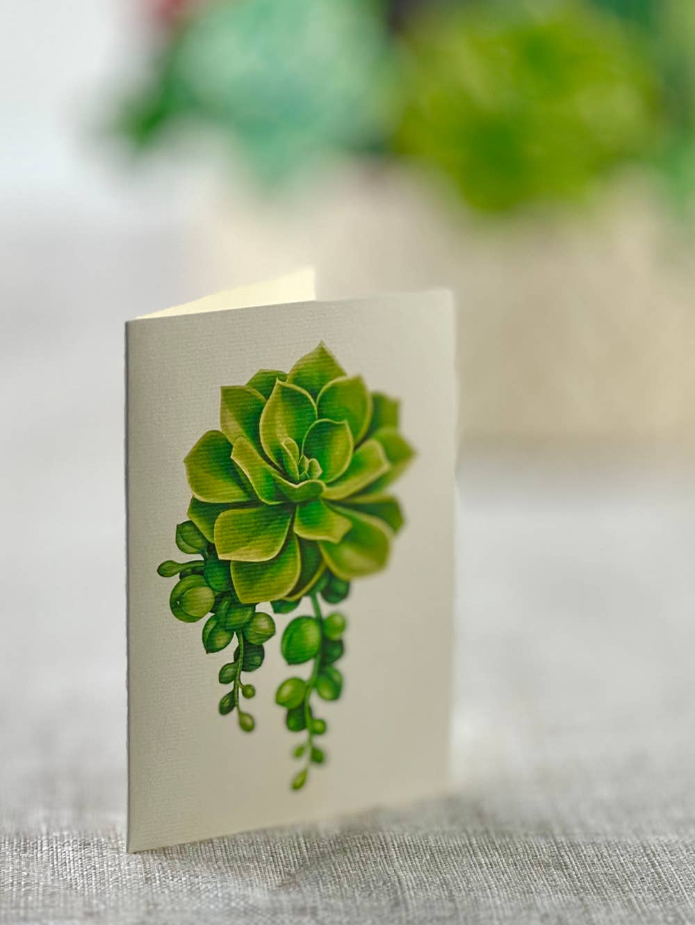 FreshCut Paper LLC - Cactus Garden (8 Pop-up Greeting Cards)