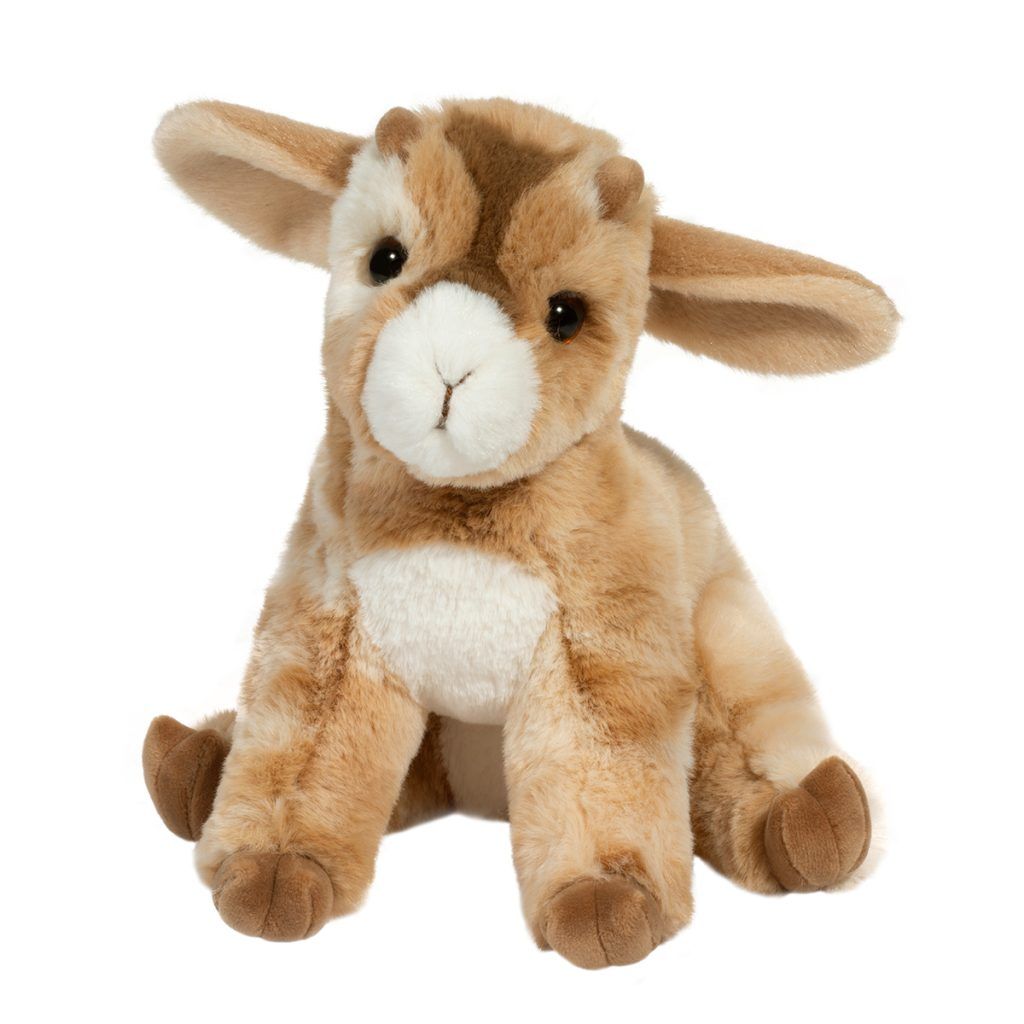 Dandie Goat Mini