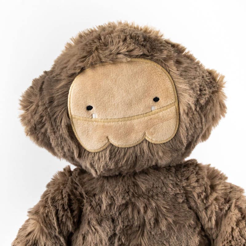BIGFOOT KIN + LESSON BOOK - BIGFOOT COPES WITH HURT FEELINGS: A LESSON IN SELF-ESTEEM