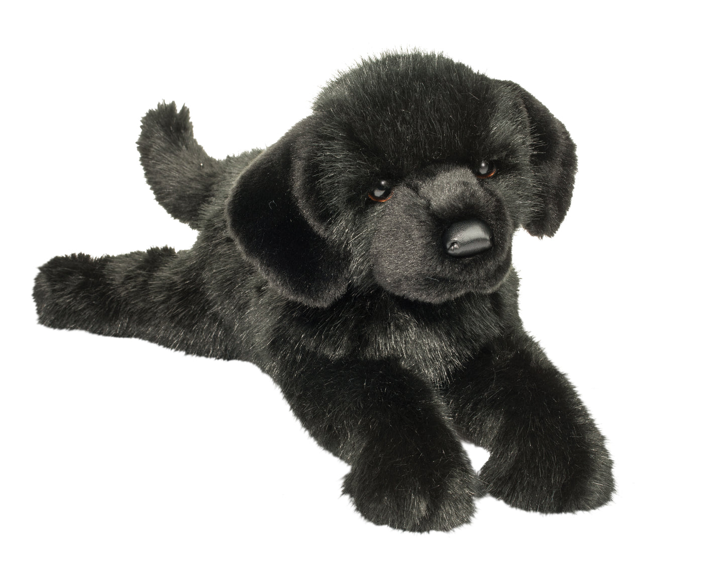 Jake Black Lab