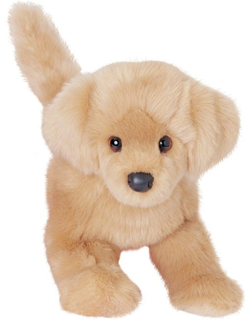 Bella Golden Retriever