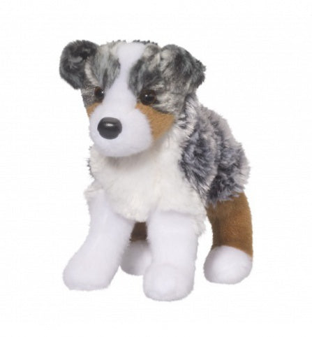Sinclair Australian Shepherd
