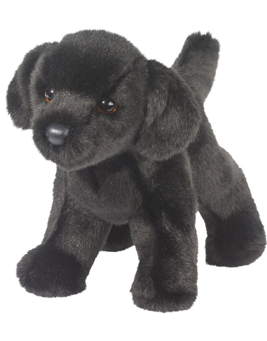Bear Black Lab