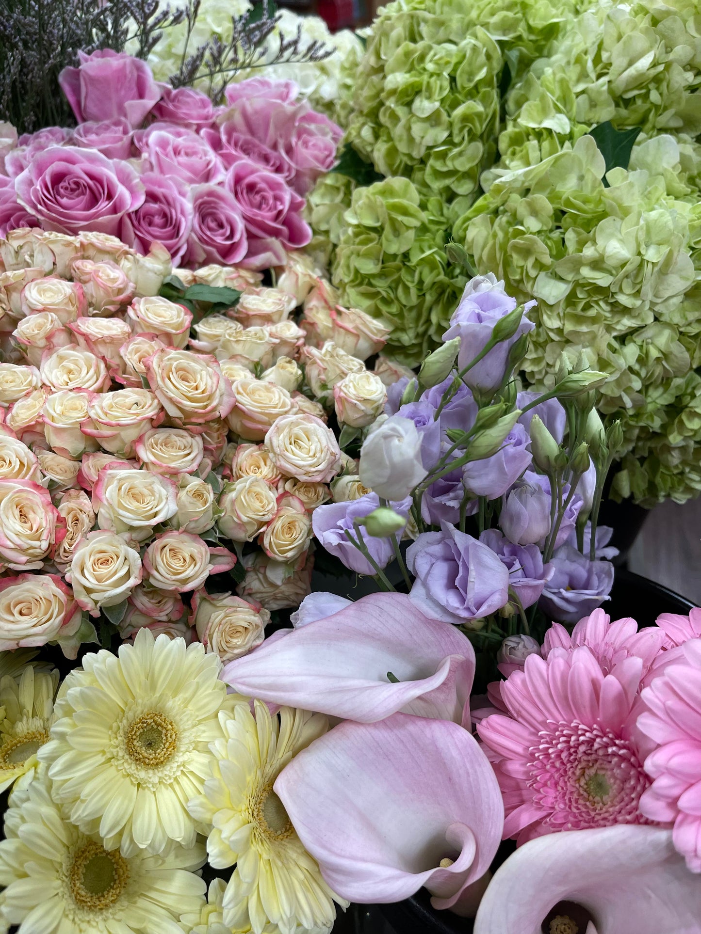 Designer's Choice Pastels Spectacular