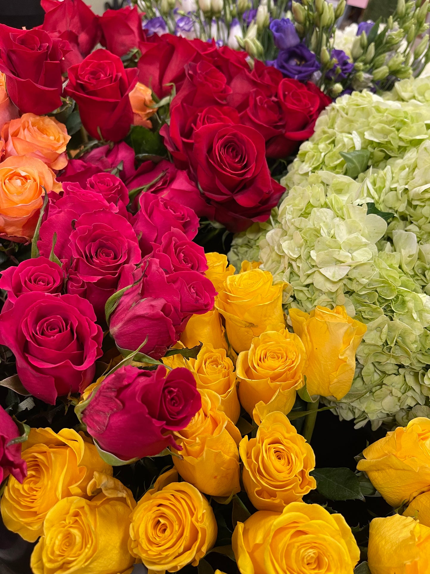 Designer's Choice Brights Spectacular