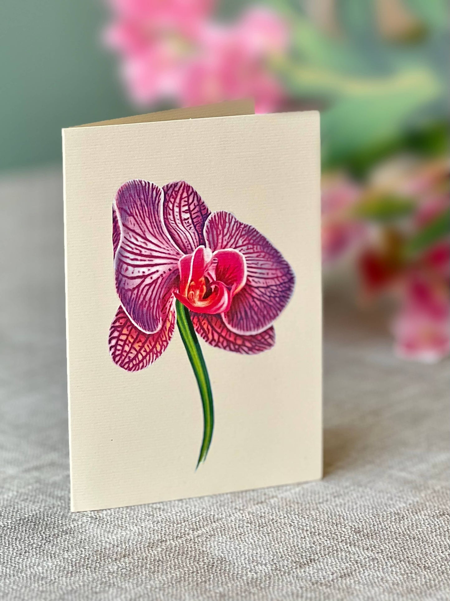 FreshCut Paper LLC - Orchid Oasis (8 Pop-up Greeting Cards)