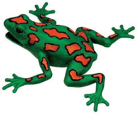 Frog Squishimals
