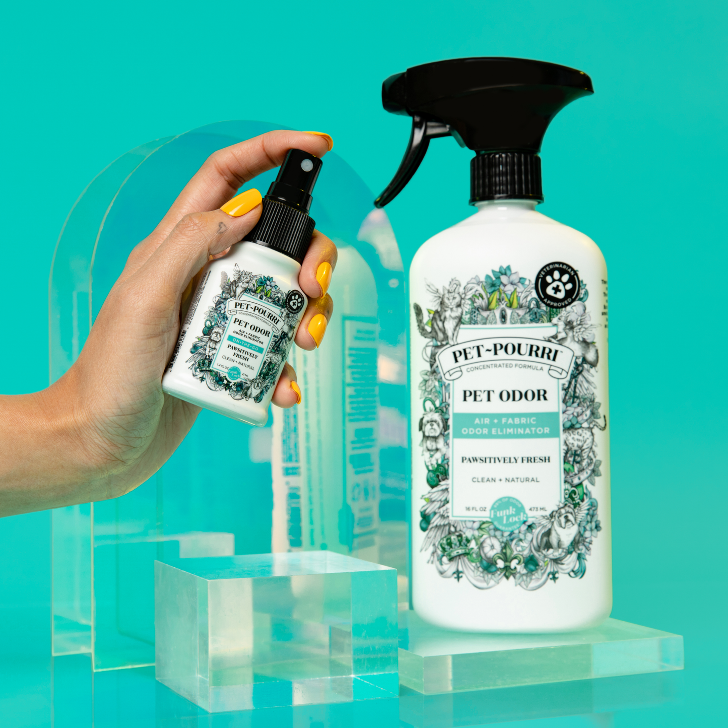 Boxed Pawsitively Fresh 1.4oz Room Spray