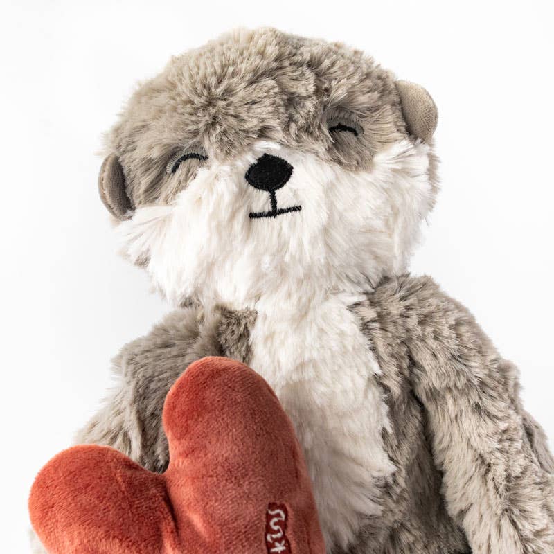 OTTER KIN + LESSON BOOK - OTTER'S COMMUNITY GROWS: A LESSON IN BUILDING CONNECTION