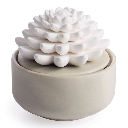 Porcelain Aroma Diffuser-Succulent