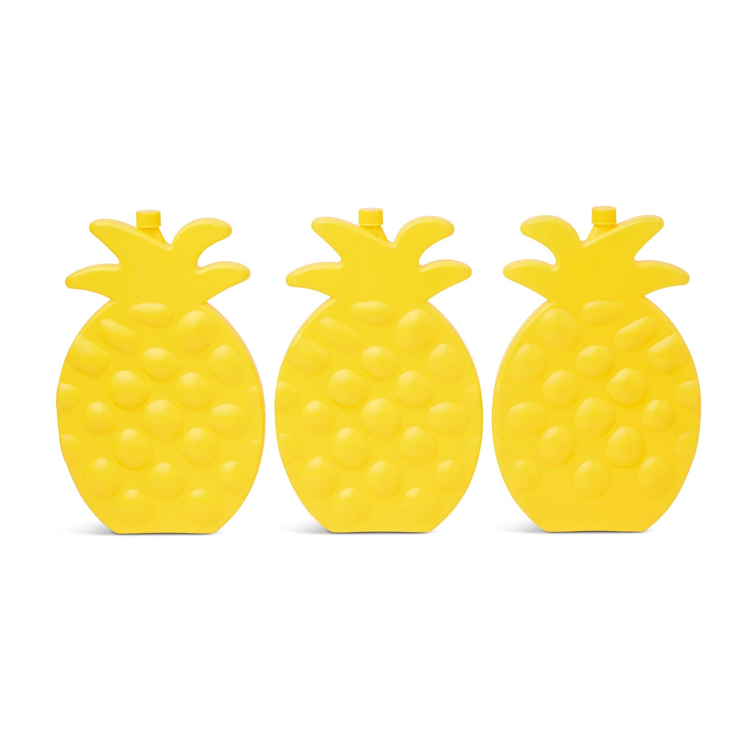 Set of 3 Pineapple Ice Packs