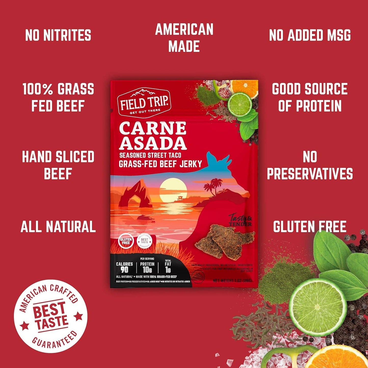 FIELD TRIP - Carne Asada Beef Jerky (1oz)