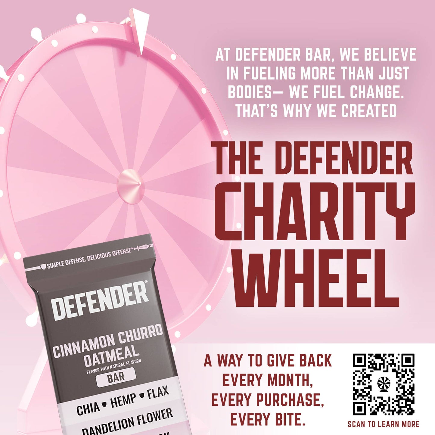 FIELD TRIP - NEW: Cinnamon Churro Oatmeal Defender Bar