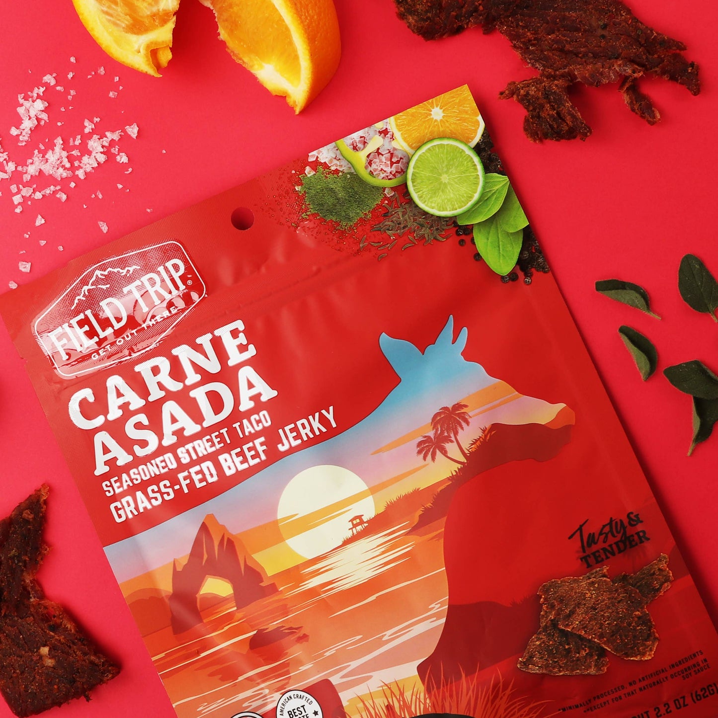 FIELD TRIP - Carne Asada Beef Jerky (1oz)
