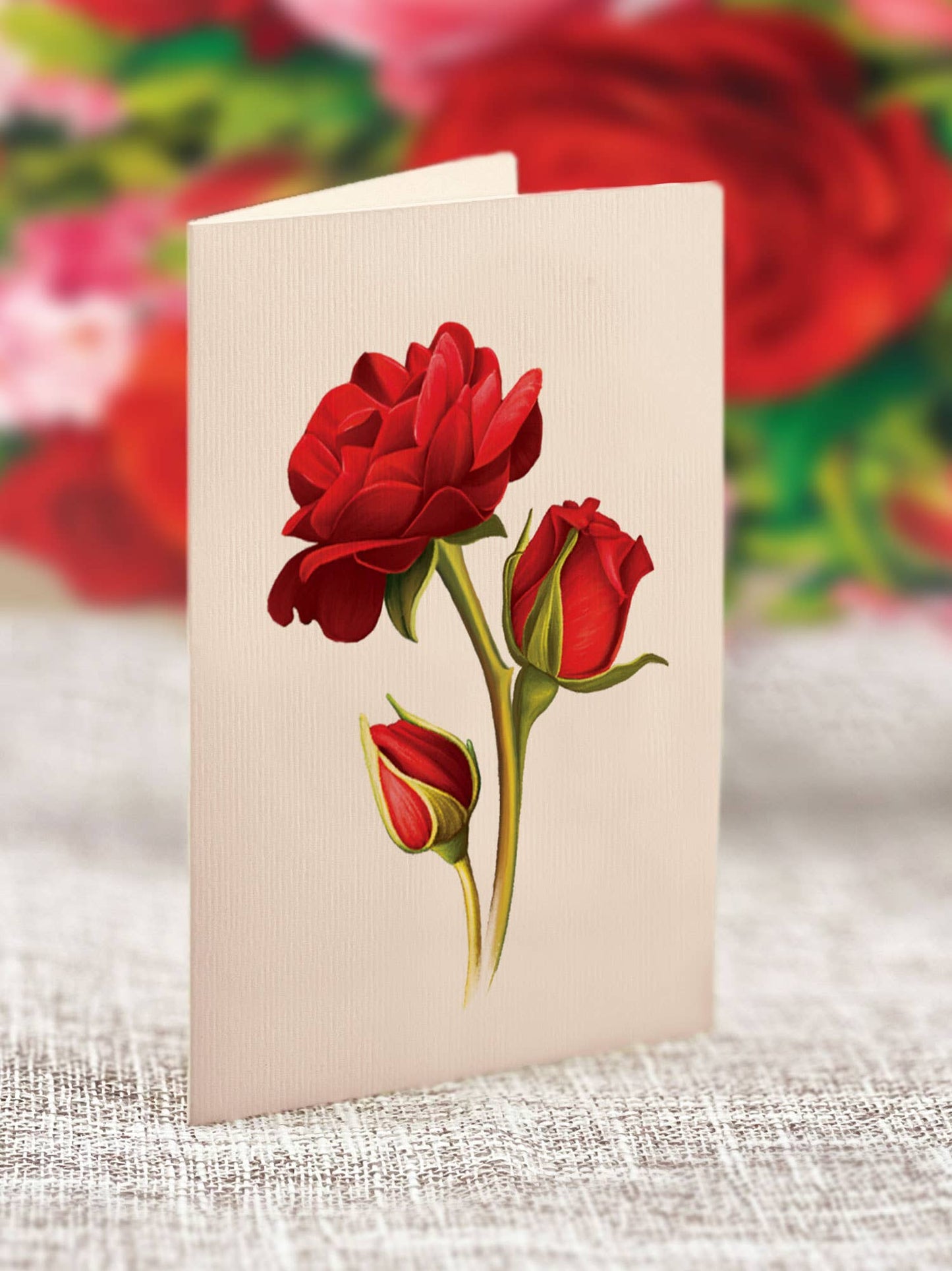 FreshCut Paper LLC - Mini Blooming Roses (10 Pop-up Greeting Cards)