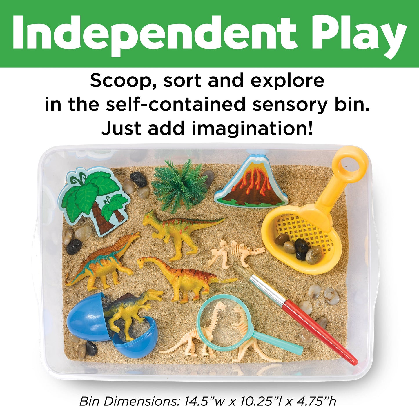 Sensory Bin Dinosaur Dig