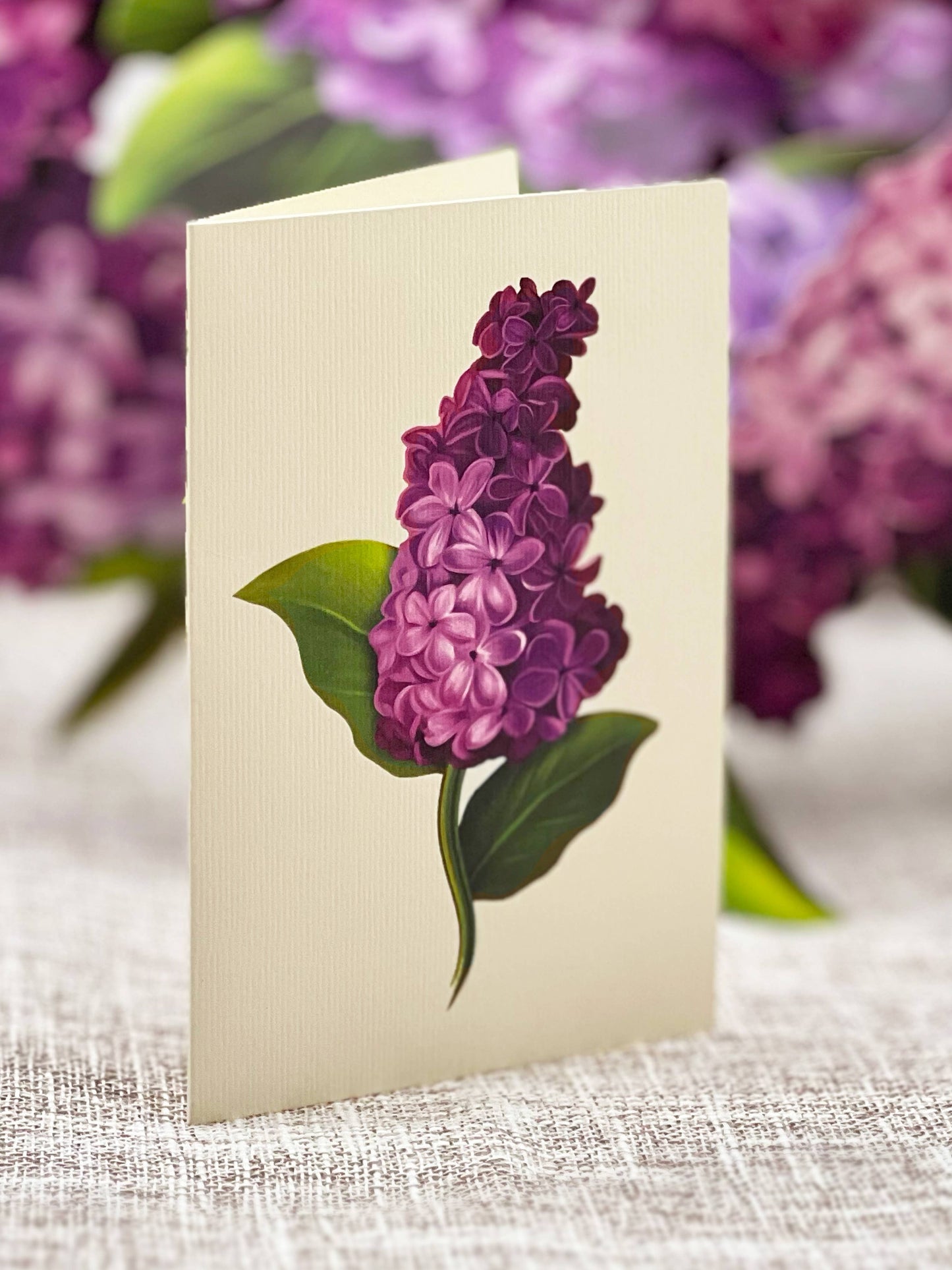 FreshCut Paper LLC - Garden Lilacs (8 Pop-up Greeting Cards)