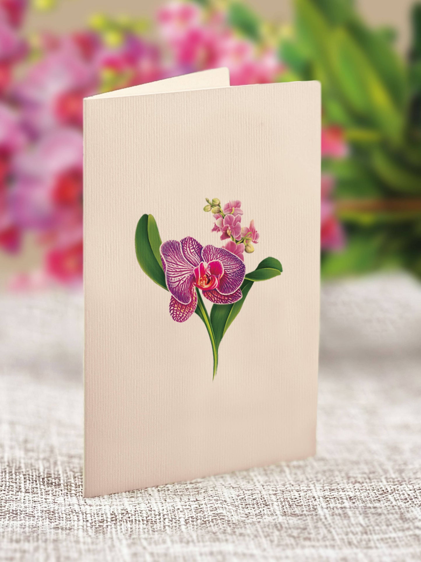 FreshCut Paper LLC - Mini Orchid Oasis (10 Pop-up Greeting Cards)