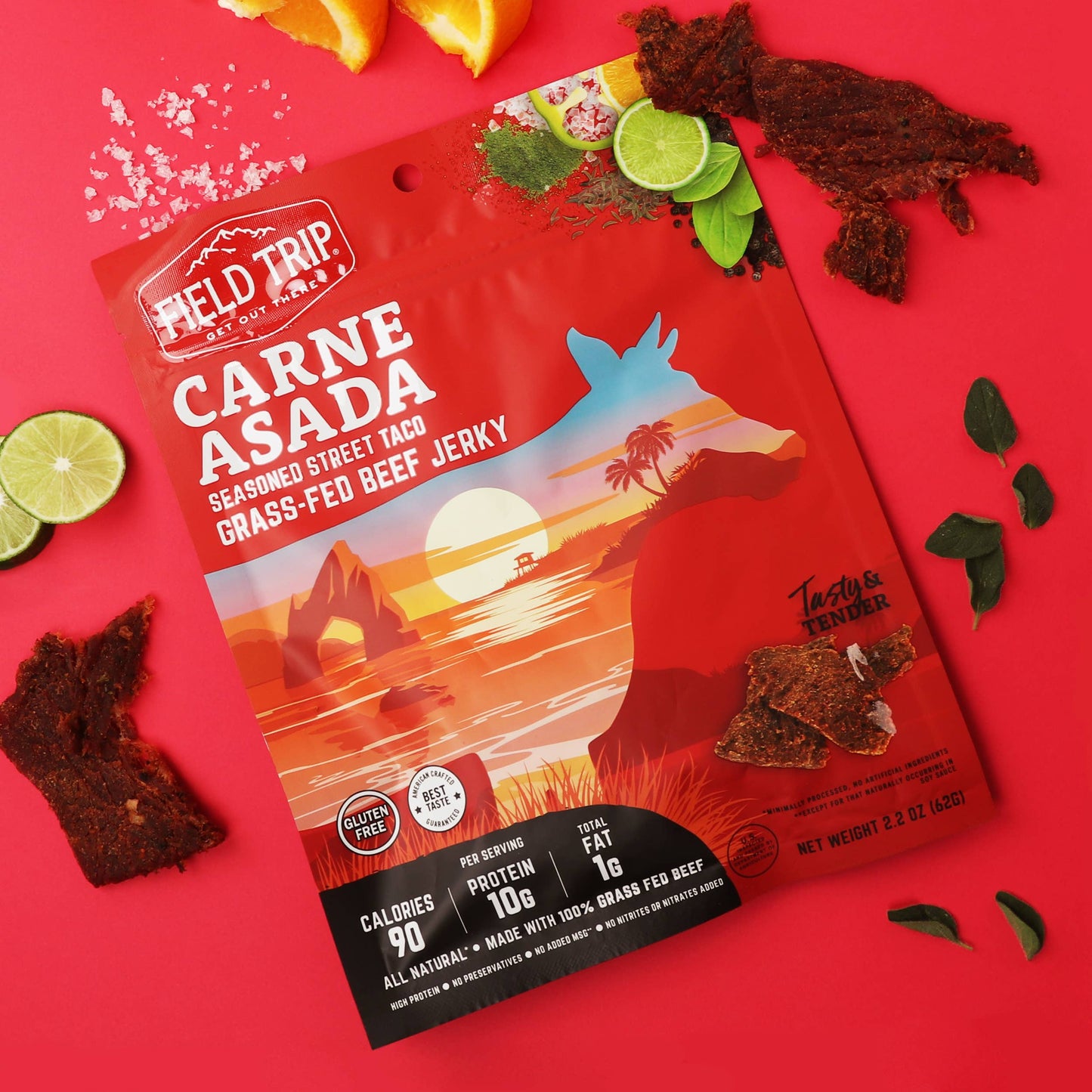 FIELD TRIP - Carne Asada Beef Jerky (2.2oz)
