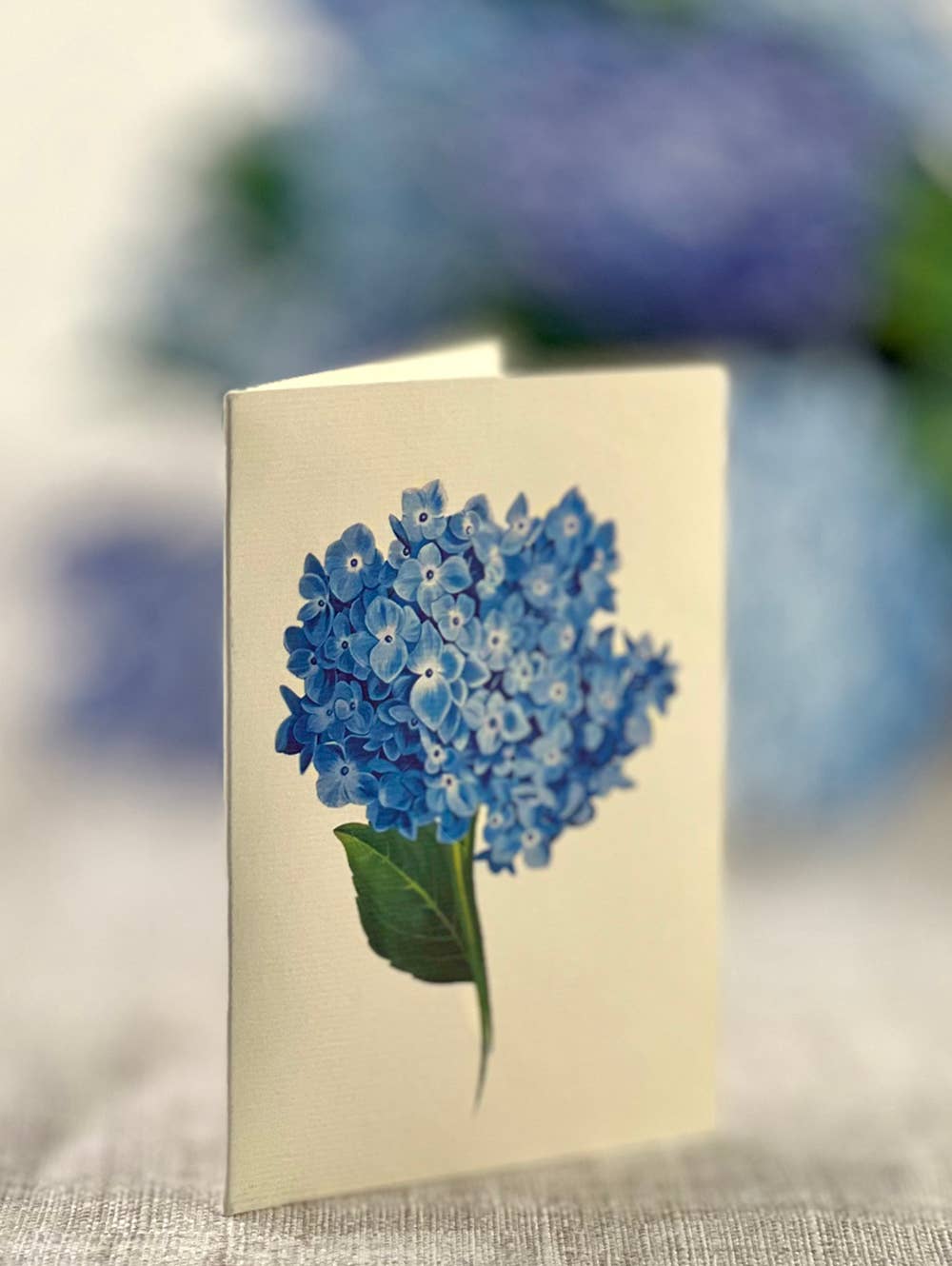 FreshCut Paper LLC - Nantucket Hydrangeas (8 Pop-up Greeting Cards)