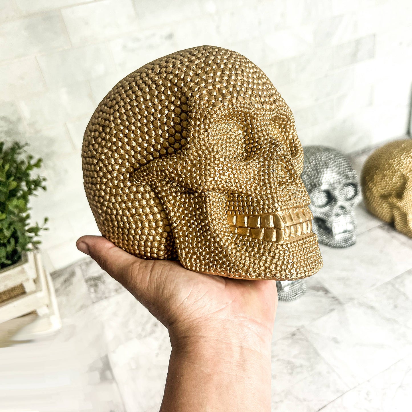 Gia Roma - Halloween Home Decor, Handmade Skeleton Head Statue Tabletop