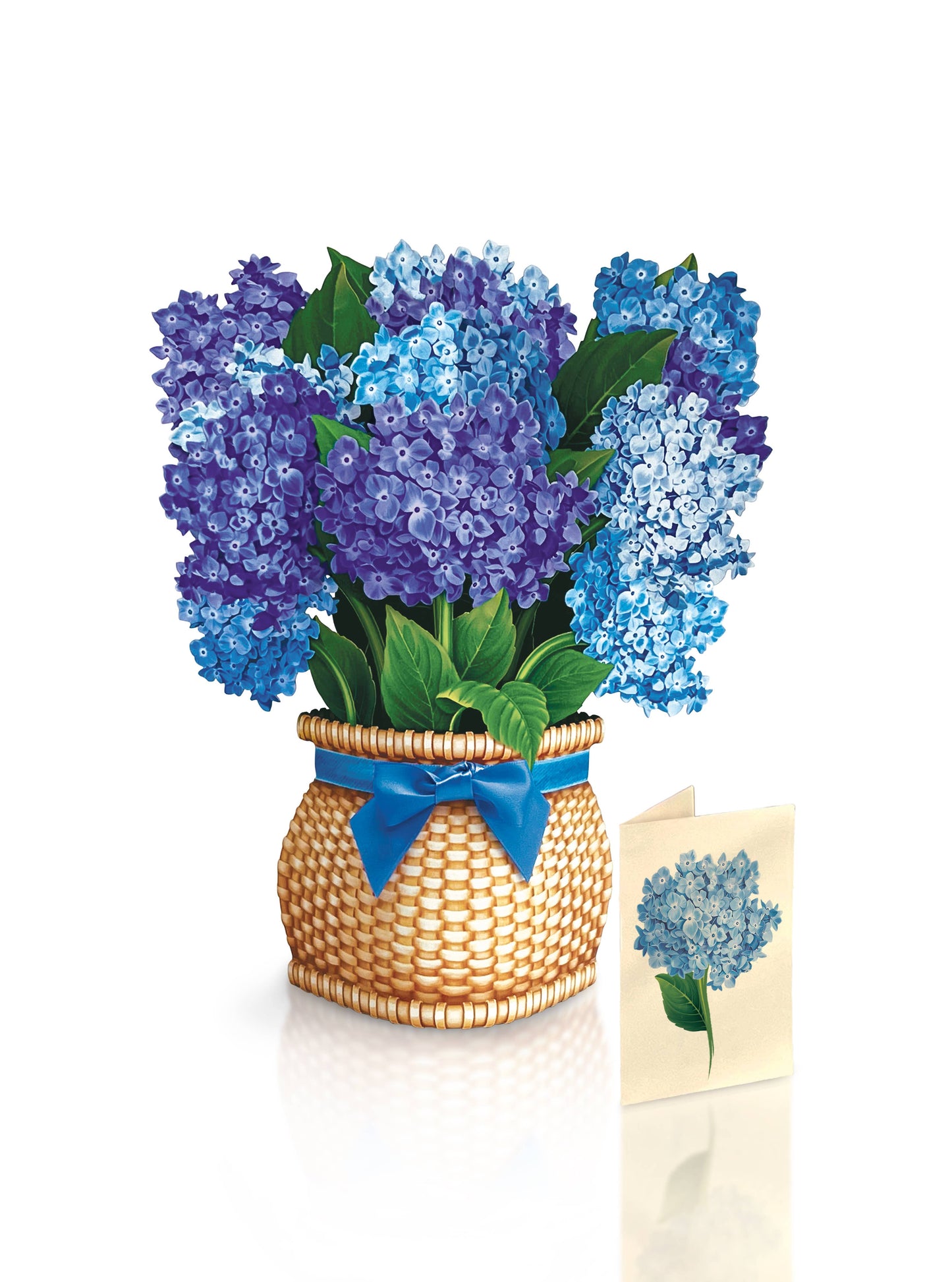 FreshCut Paper LLC - Nantucket Hydrangeas (8 Pop-up Greeting Cards)
