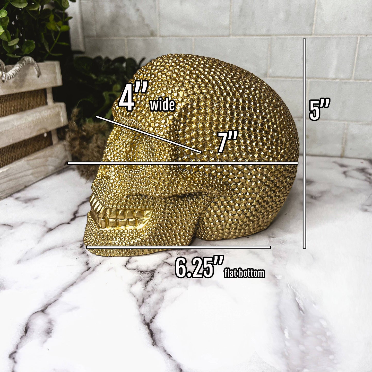 Gia Roma - Halloween Home Decor, Handmade Skeleton Head Statue Tabletop