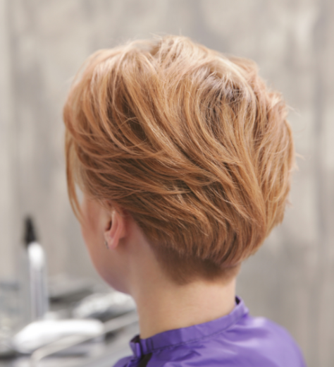 HAIRCUT WASH BLOWDRY $45