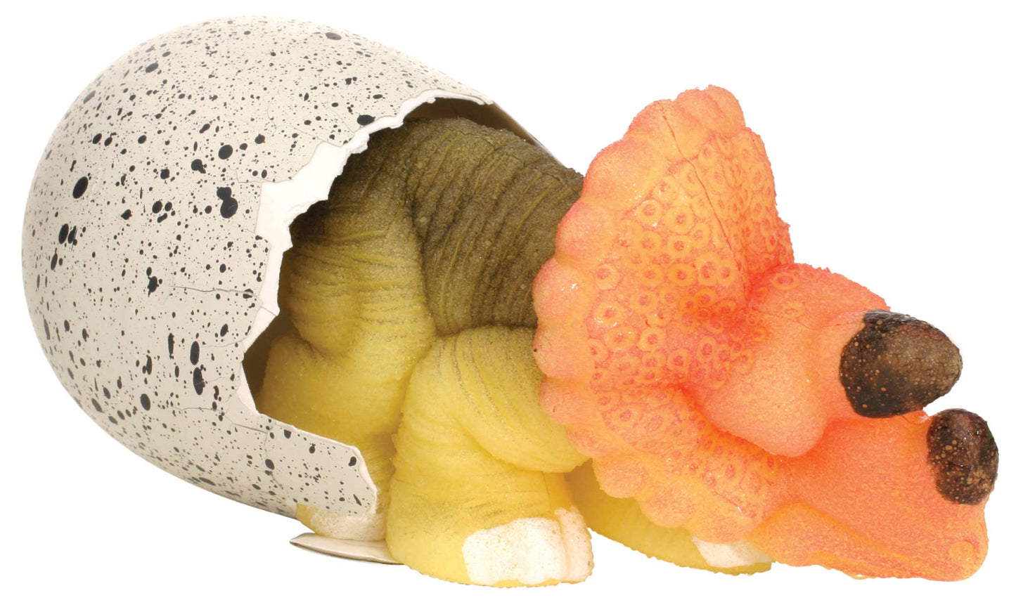 Ginormous Hatchin' Grow Dino Egg