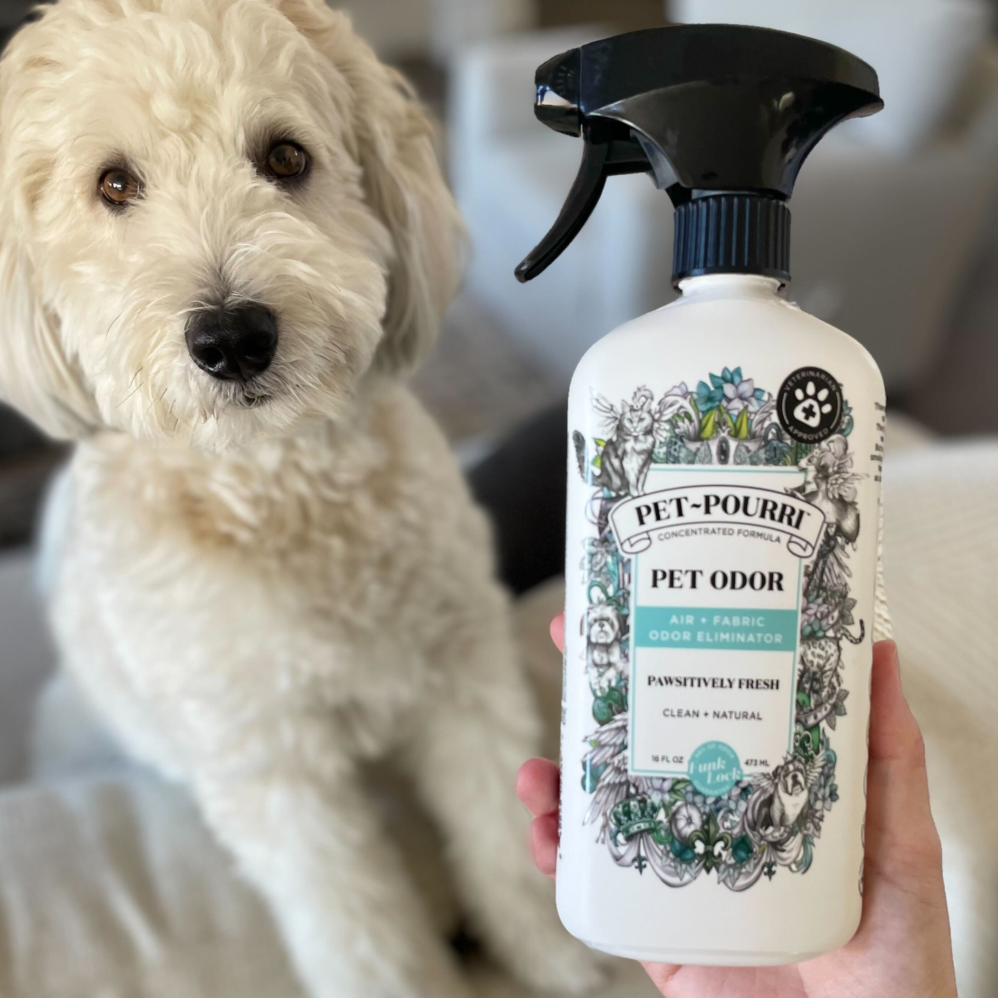 16oz Pawsitively Fresh Room Spray