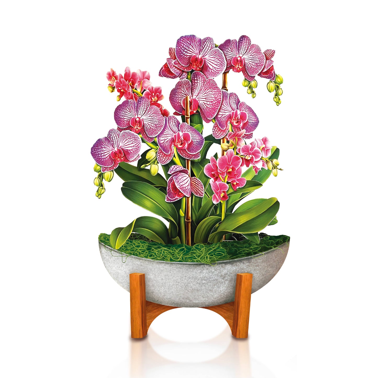FreshCut Paper LLC - Mini Orchid Oasis (10 Pop-up Greeting Cards)