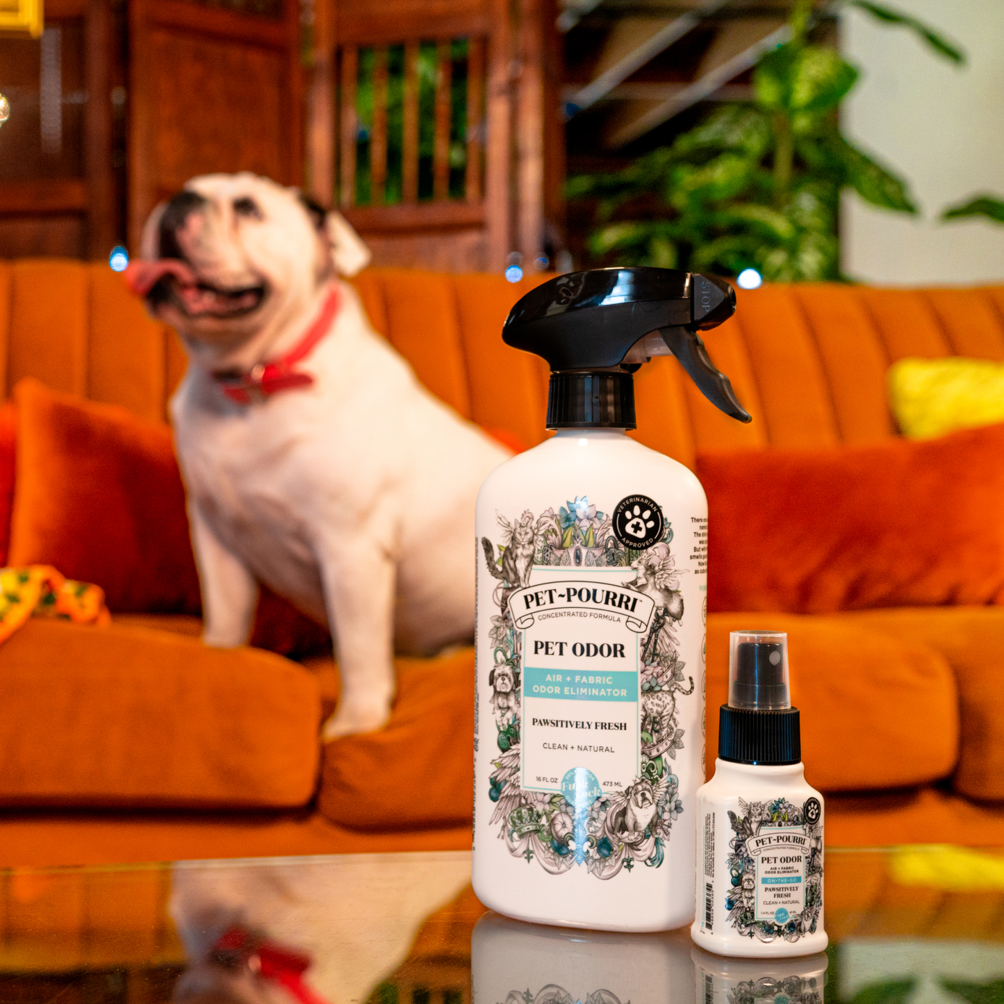 Boxed Pawsitively Fresh 1.4oz Room Spray