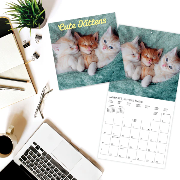 Cute Kittens Wall Calendar