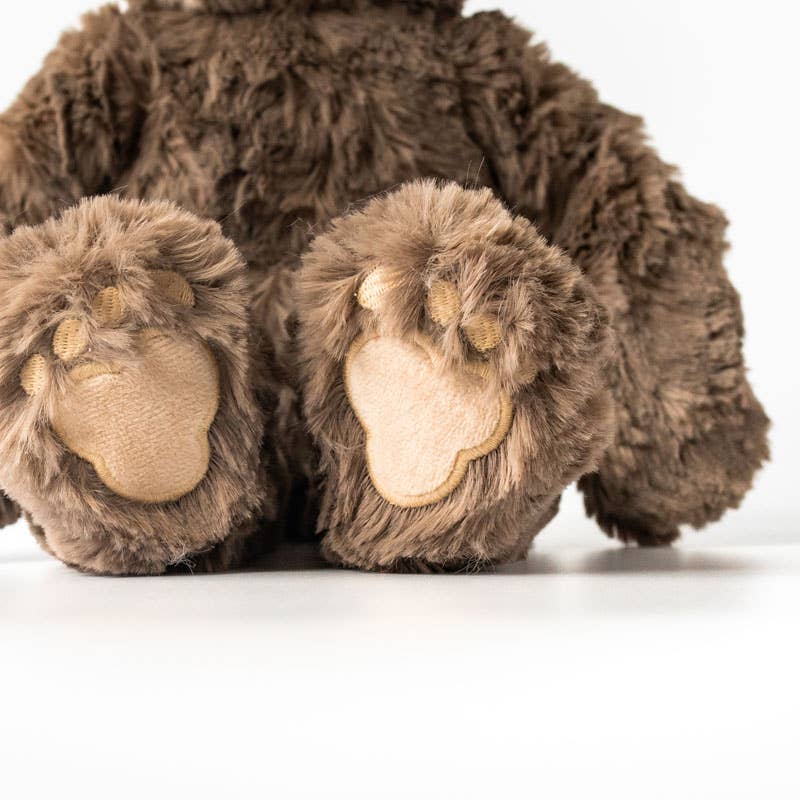BIGFOOT KIN + LESSON BOOK - BIGFOOT COPES WITH HURT FEELINGS: A LESSON IN SELF-ESTEEM