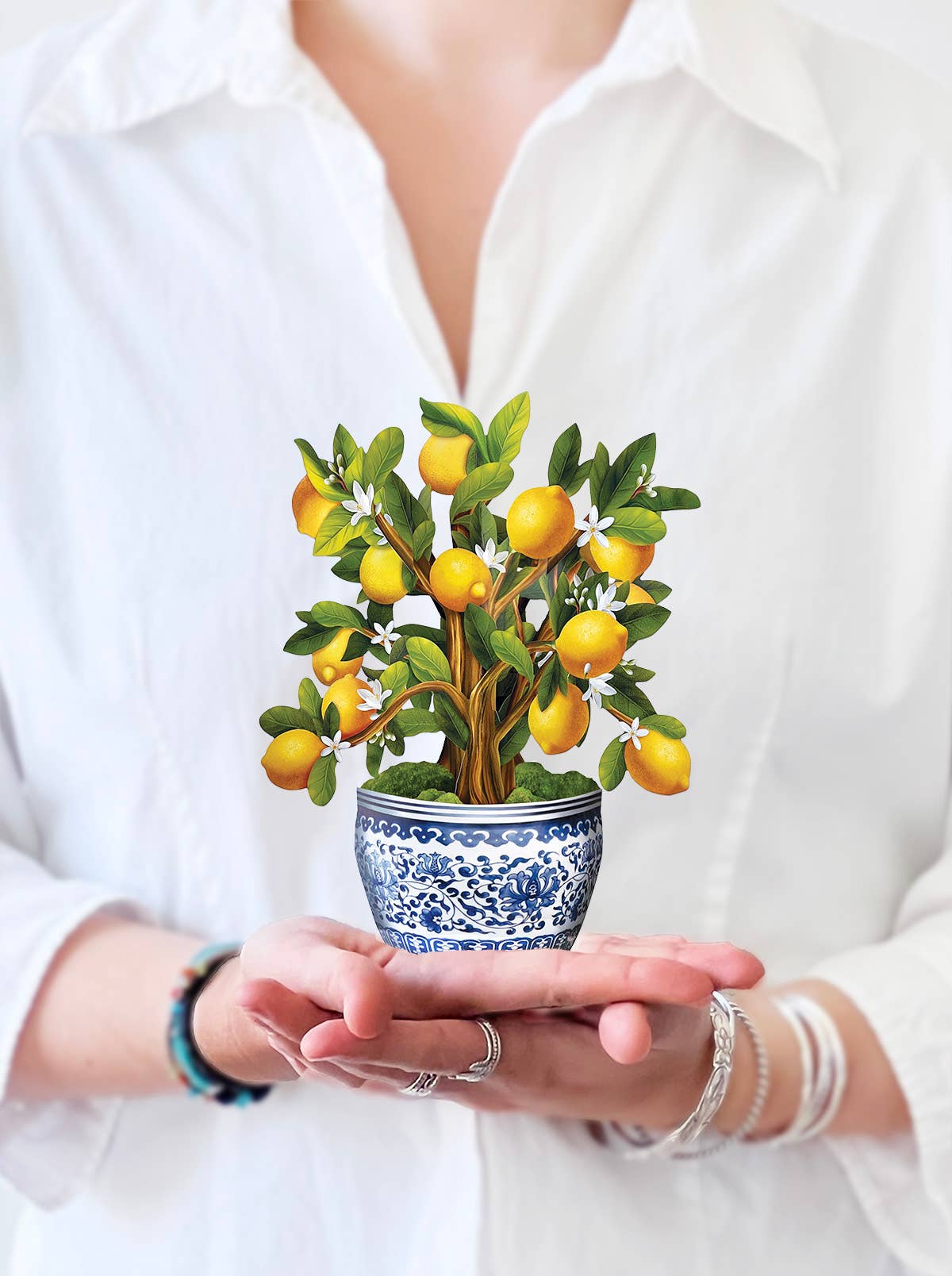 FreshCut Paper LLC - Mini Lemon Blossom Tree  (10 Pop-up Greeting Cards)