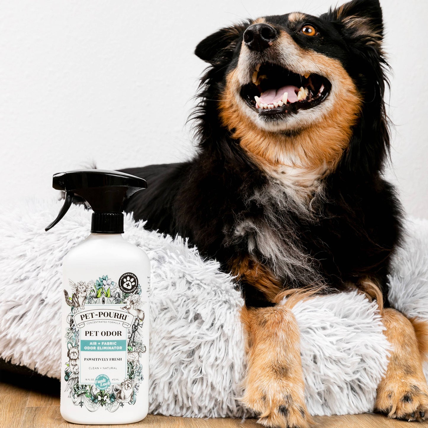 16oz Pawsitively Fresh Room Spray