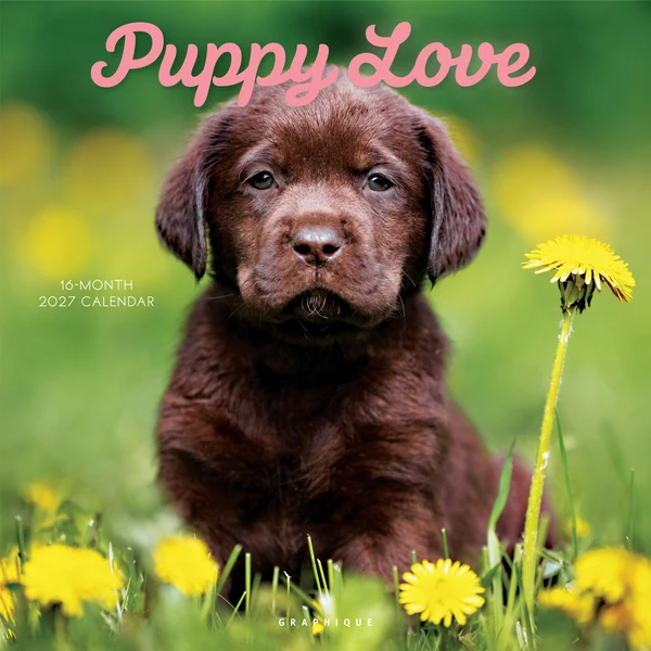 Puppy Love Wall Calendar