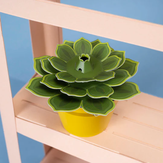 Make Your Own Soothing Succulent Paper Craft