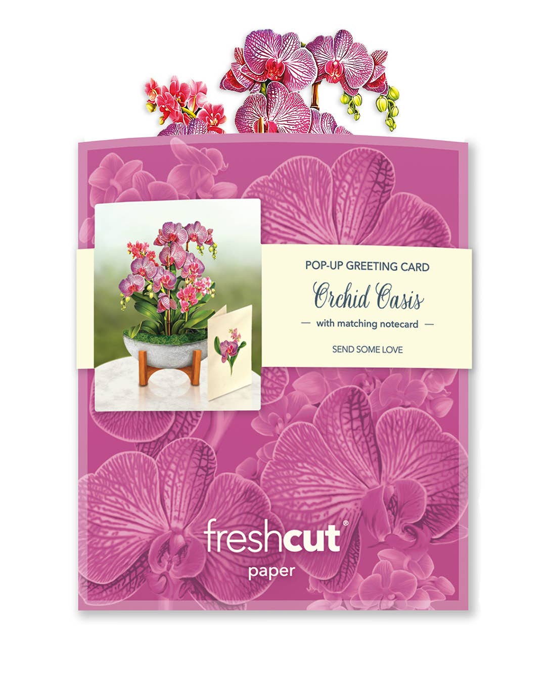FreshCut Paper LLC - Mini Orchid Oasis (10 Pop-up Greeting Cards)