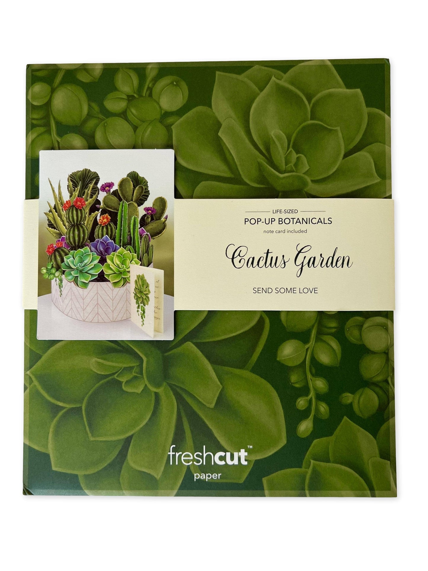 FreshCut Paper LLC - Cactus Garden (8 Pop-up Greeting Cards)