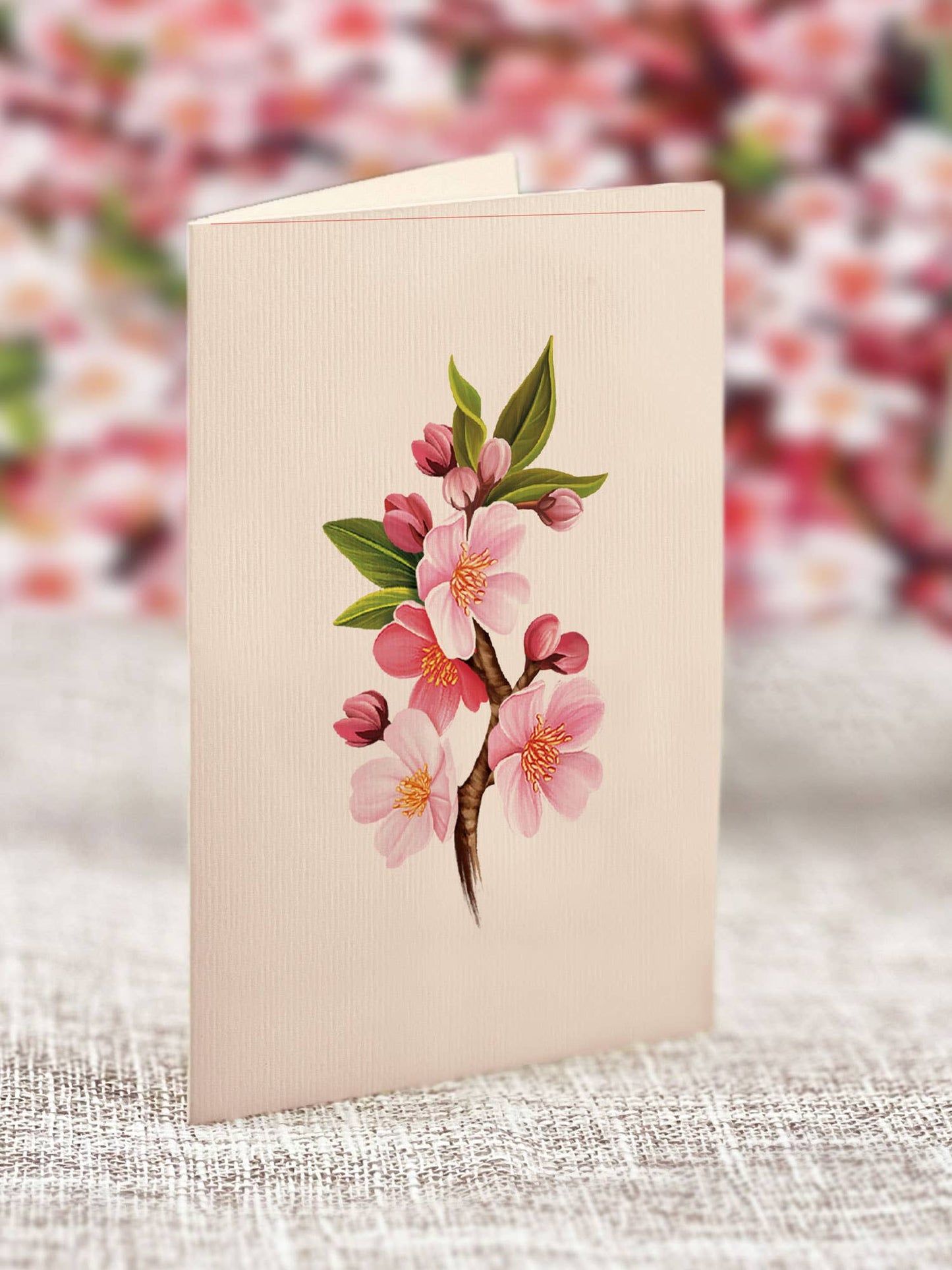 FreshCut Paper LLC - Japanese Cherry Blossoms (8 Pop-up Greeting Cards)