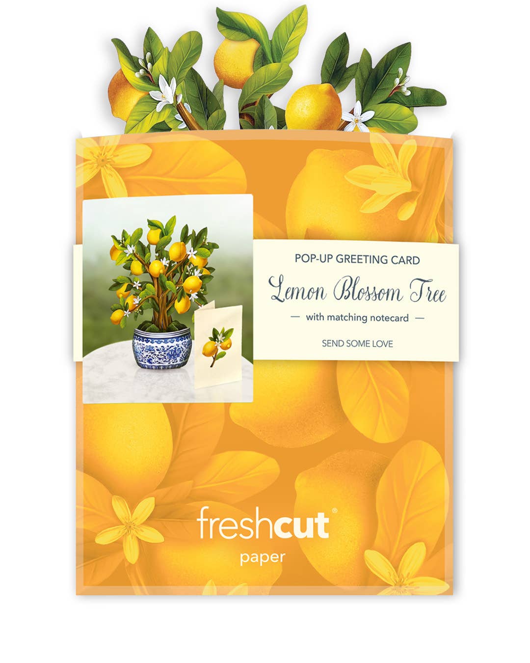 FreshCut Paper LLC - Mini Lemon Blossom Tree  (10 Pop-up Greeting Cards)