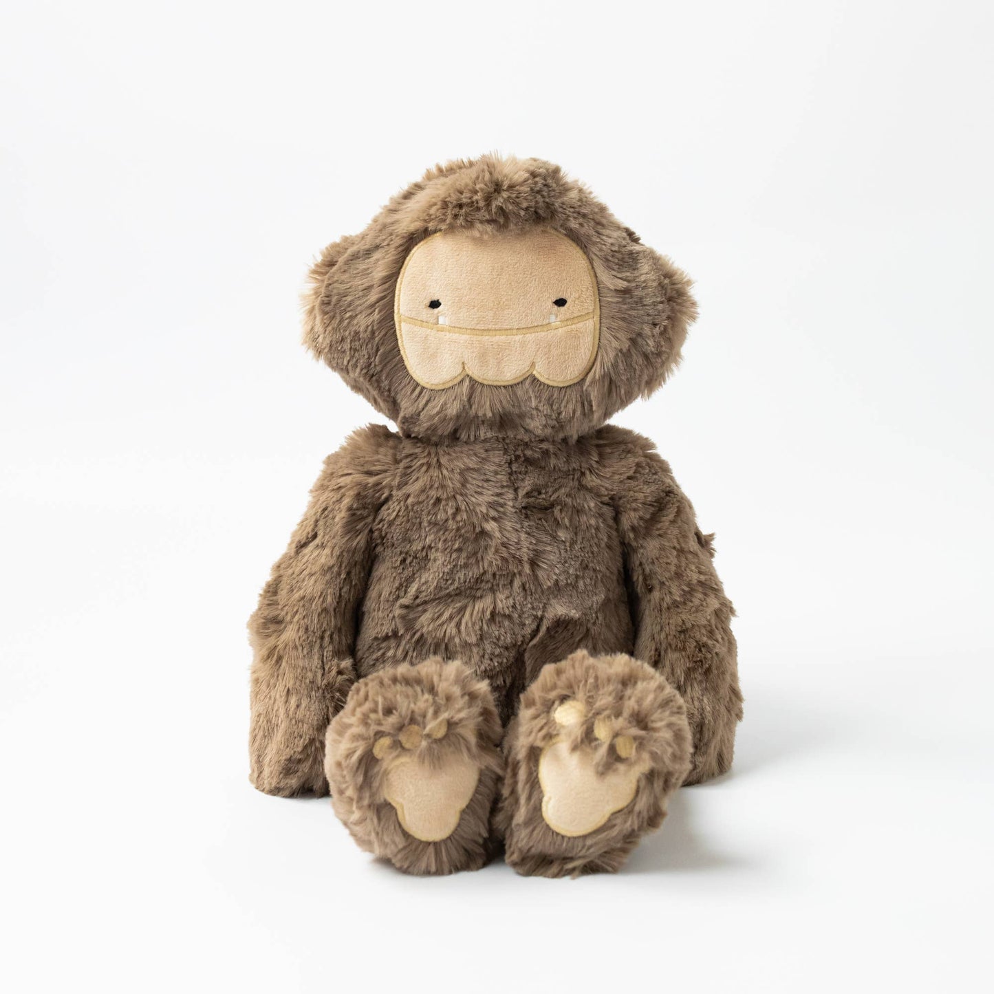 BIGFOOT KIN + LESSON BOOK - BIGFOOT COPES WITH HURT FEELINGS: A LESSON IN SELF-ESTEEM
