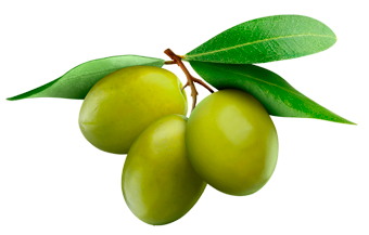 Lady Joseph Bakery - Maxi Cracker With Green Olives & Olive Oil  vegan snack