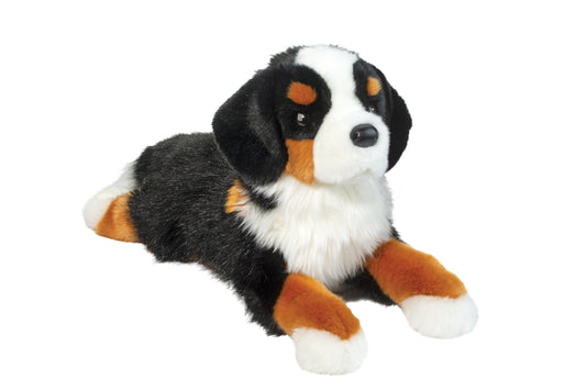 Trooper Bernese Mountain Dog