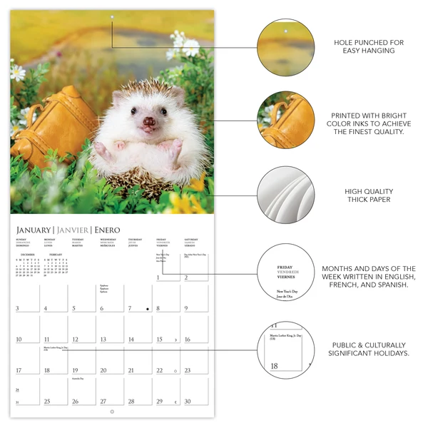 The Happiest Hedgehogs Mini Calendar