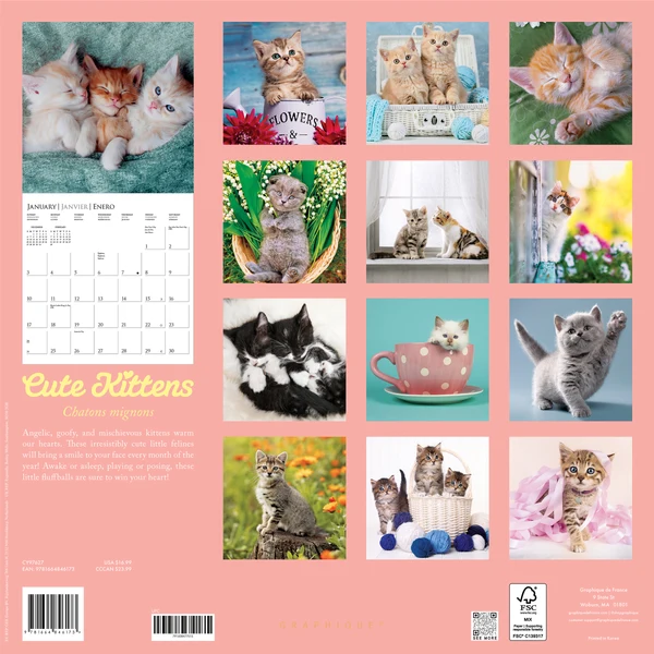 Cute Kittens Wall Calendar